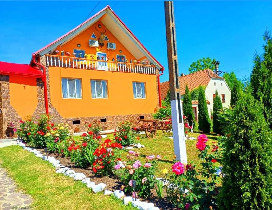 Casa Florilor Barcut Διαμέρισμα Εξωτερικό φωτογραφία