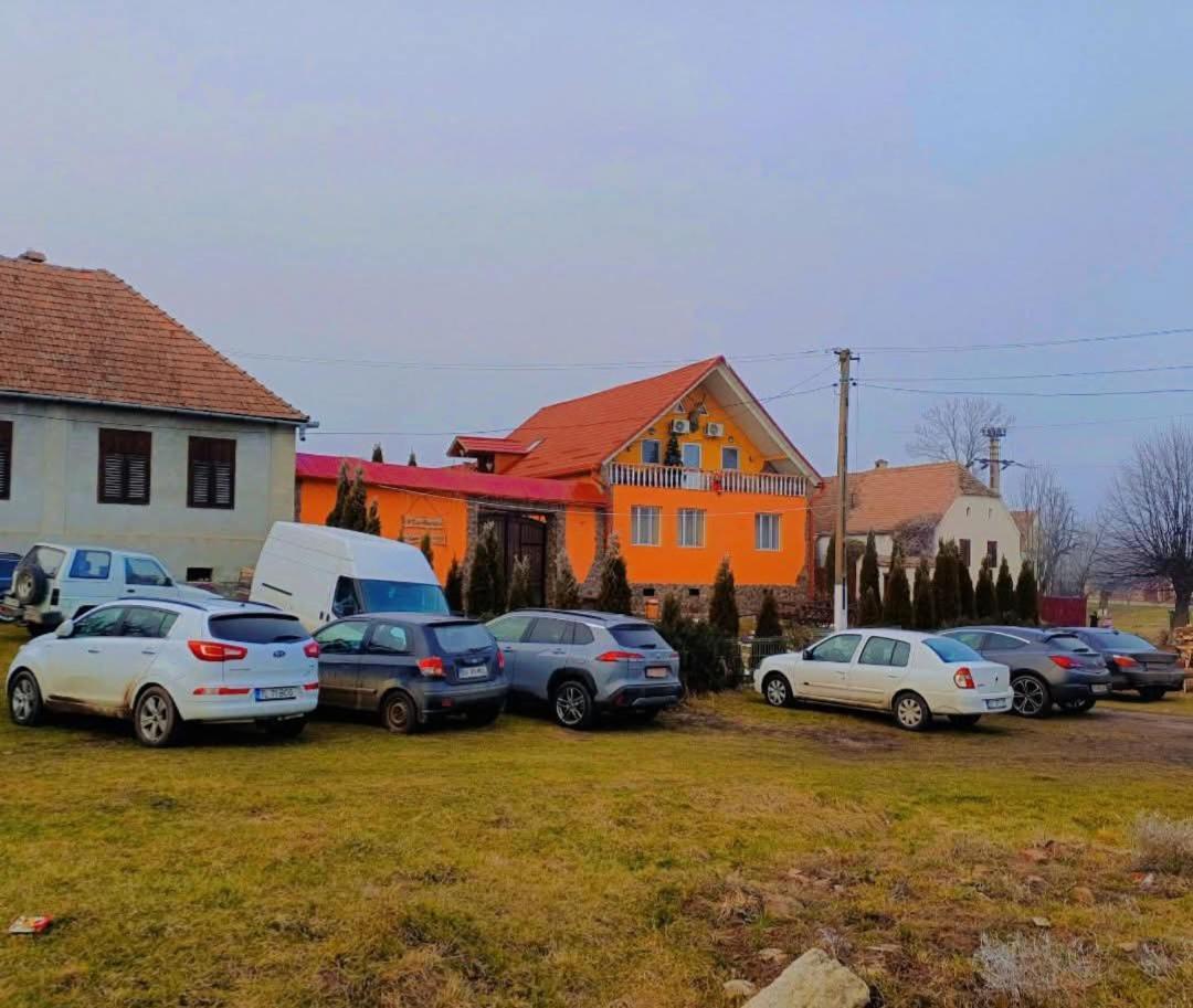Casa Florilor Barcut Διαμέρισμα Εξωτερικό φωτογραφία