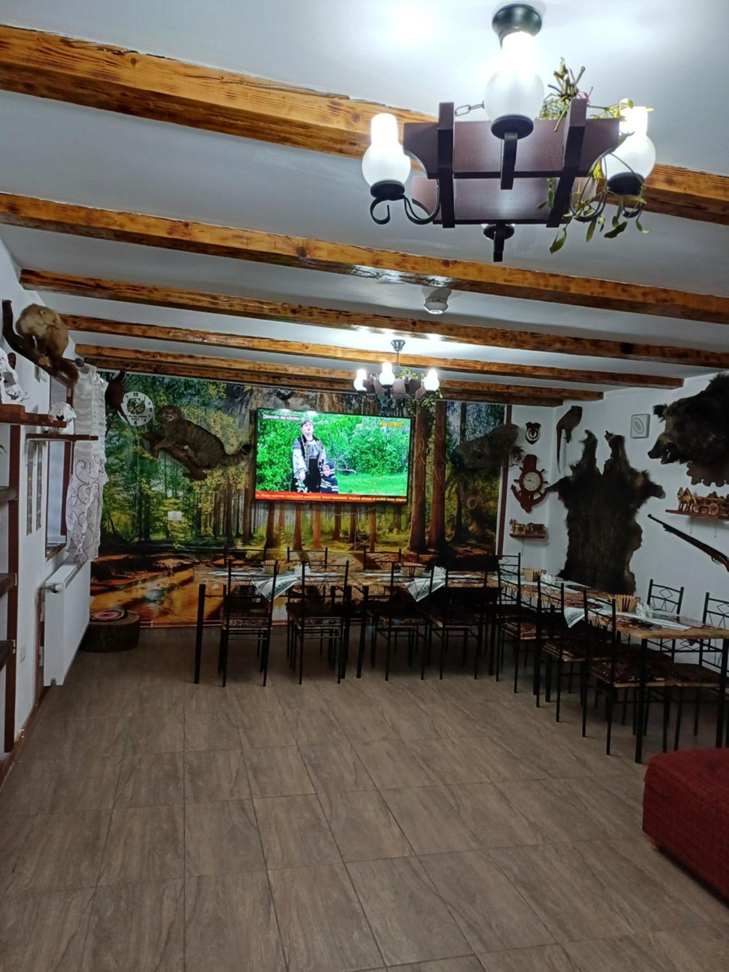 Casa Florilor Barcut Διαμέρισμα Εξωτερικό φωτογραφία