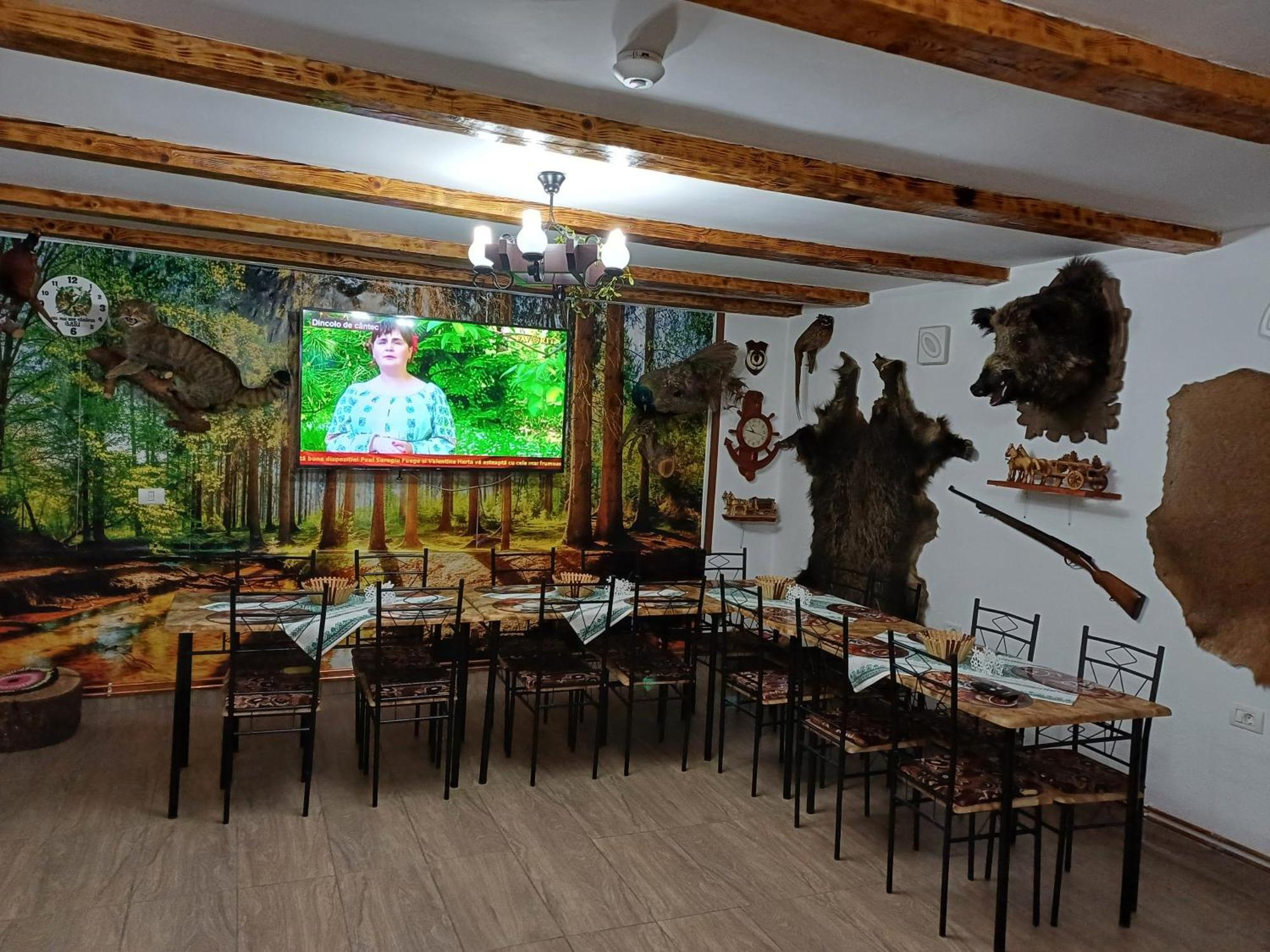 Casa Florilor Barcut Διαμέρισμα Εξωτερικό φωτογραφία