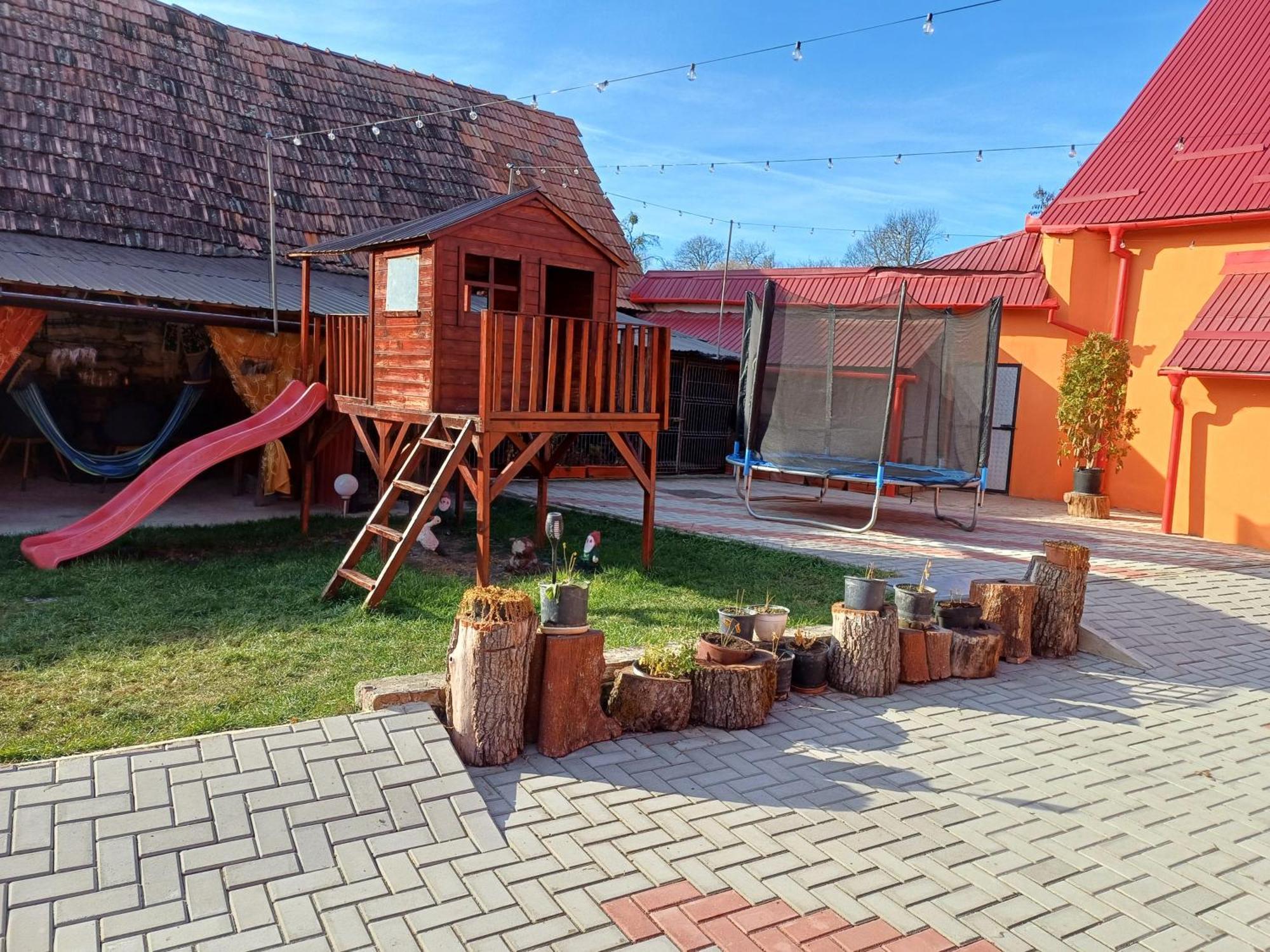 Casa Florilor Barcut Διαμέρισμα Εξωτερικό φωτογραφία
